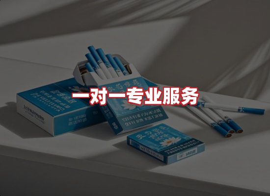 专业团队